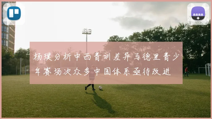 杨璞分析中西青训差异马德里青少年赛场次众多中国体系亟待改进