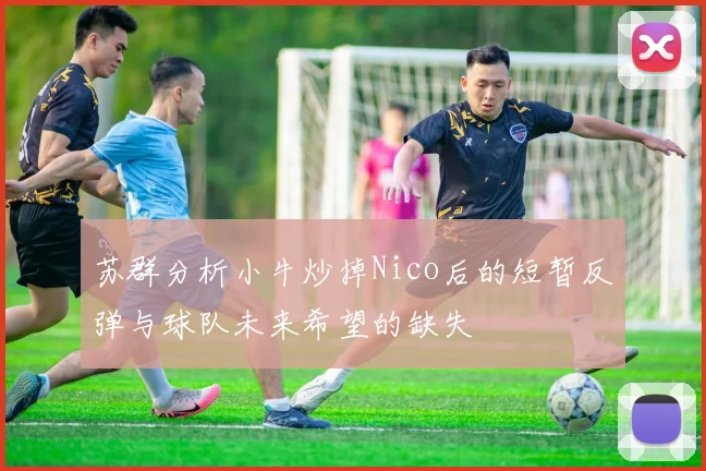 苏群分析小牛炒掉Nico后的短暂反弹与球队未来希望的缺失